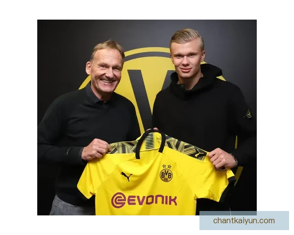 德甲球员流动速读：冬季转会窗动态分析与趋势解读