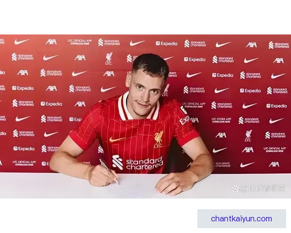 德甲转会窗口调整带来新的市场机遇与挑战分析